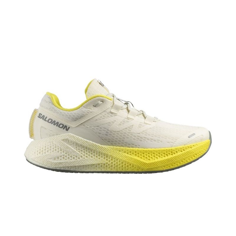 Salomon Aero Glide 3 Men's Shoes