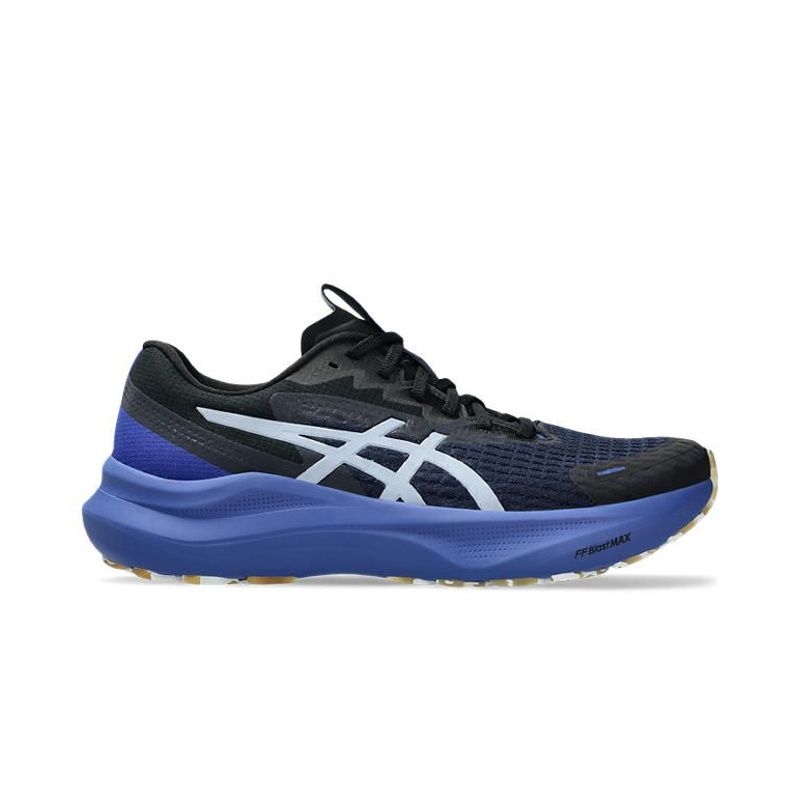 Asics Gt-2000™ 14 Lite-Show™ Men's Shoes