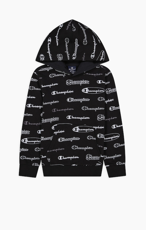 Champion script 2025 all over hoodie