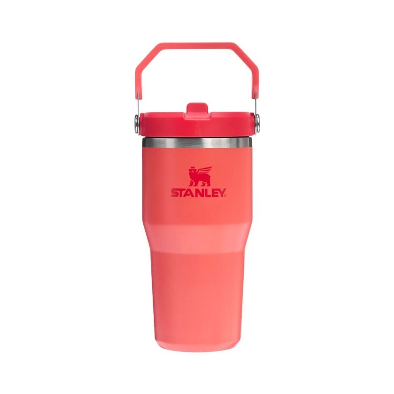 Stanley IceFlow™ Flip Straw Tumbler | 0.6L/20oz