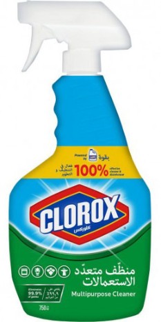 Clorox Multipurpose Cleaner 750 ml