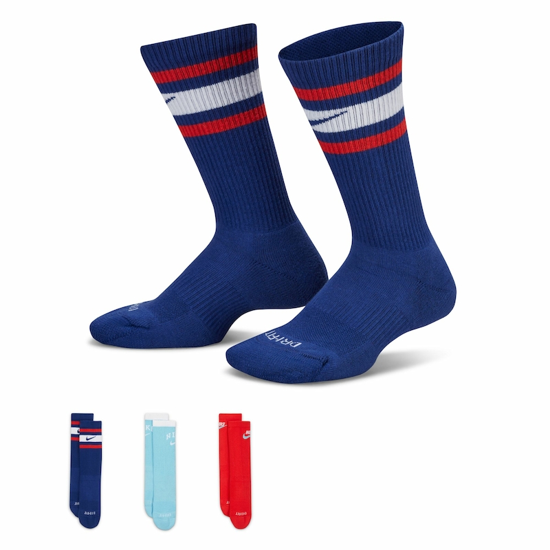 Nike Everyday Plus Cushioned Crew Socks