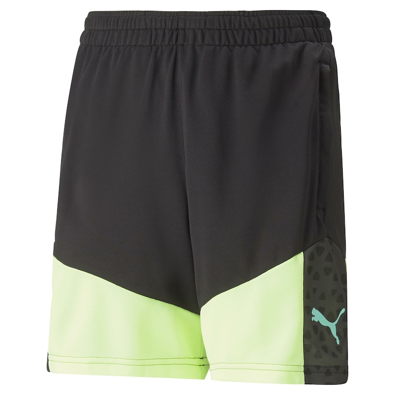 Puma Individualcup Training Kid's Shorts