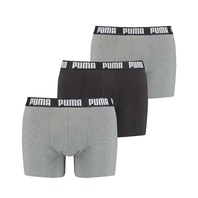 Buy Grey Briefs for Men by Puma Online