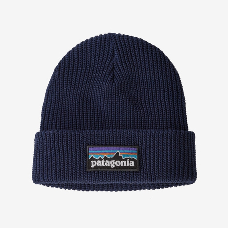 Patagonia Kid's Logo Beanie