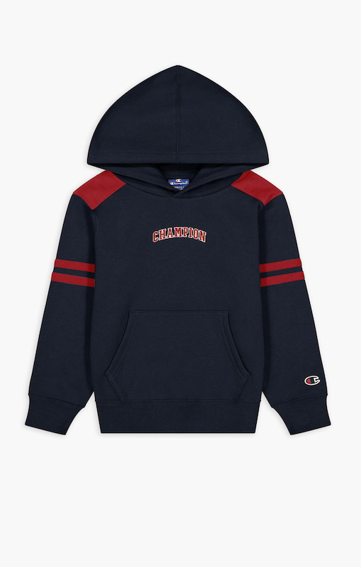 The hundreds champion on sale hoodie