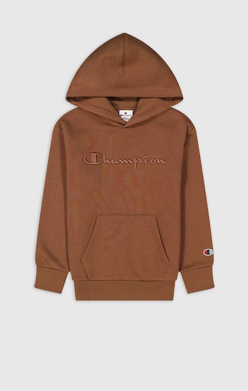 Boys champion hoodie best sale