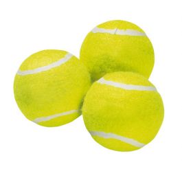 Roger Dryer Balls 3pcs Bag Rubber Tennis Ball