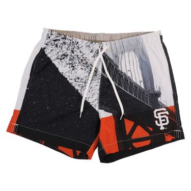 Men's champion best sale swim trunks