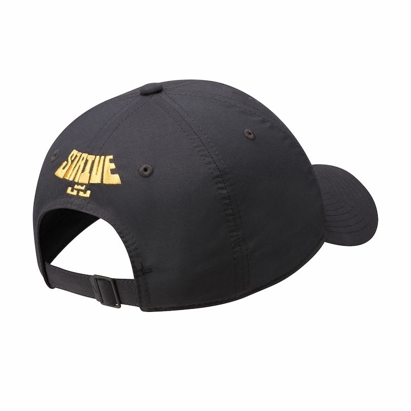lebron cap nike