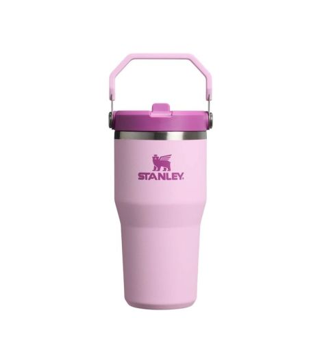 Stanley IceFlow™ Flip Straw Tumbler | 0.6L/20oz