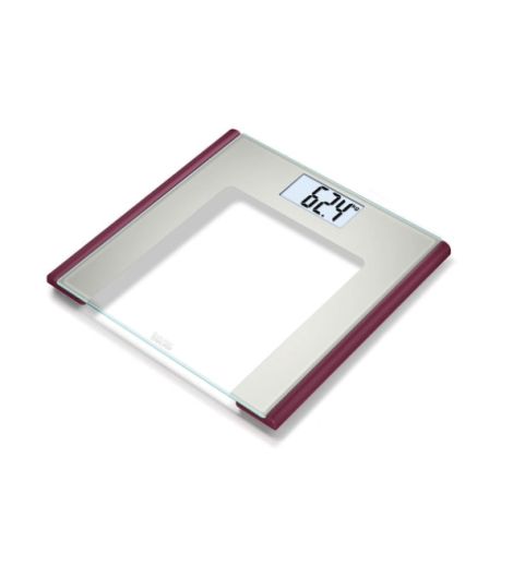 GS 170 Diagnostic Glass Scale (Ruby)