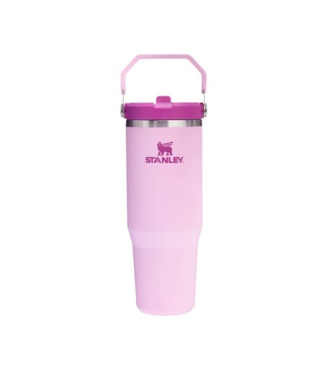 Stanley Ice Flow GO 890ml/30oz Flip Straw Water Bottle