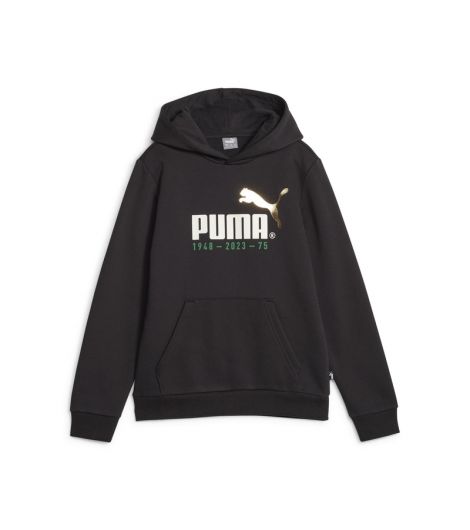 Puma Kid's No.1 Logo Celebration Hoodie