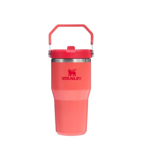 Stanley IceFlow™ Flip Straw Tumbler | 0.6L/20oz