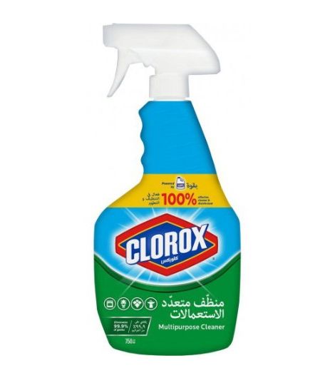 Clorox Multipurpose Cleaner 750 ml