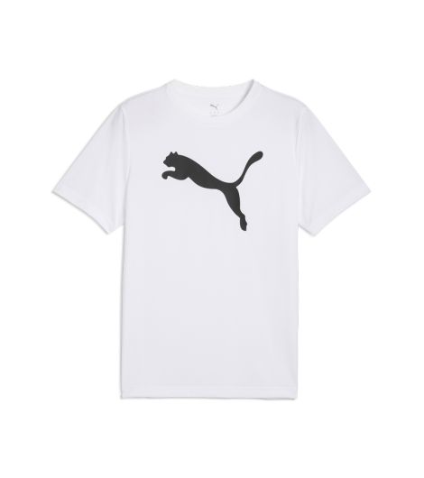 Puma Essentials Poly Men's Tee