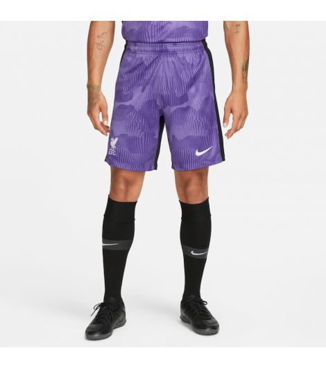 Liverpool FC 2023/24 Stadium Third Men's Nike Dri-FIT Football Shorts