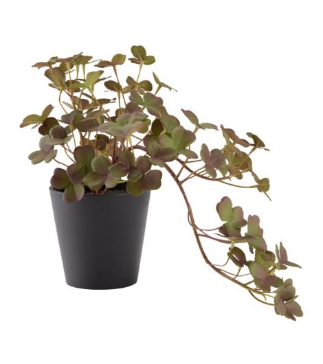 نبات اصطناعي BERGUR - ارتفاع 21 سم مع وعاء