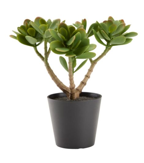 نبتة اصطناعية JOSTEIN - ارتفاع 23 سم، أخضر