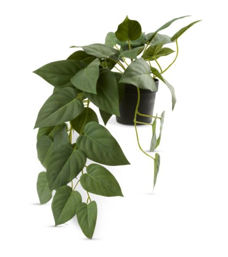 نبتة اصطناعية ANDERSEN معلق - طول 43 سم