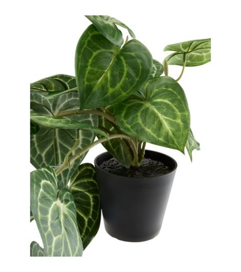 نبتة اصطناعية KNOPPSVANE - ارتفاع 30 سم، أخضر