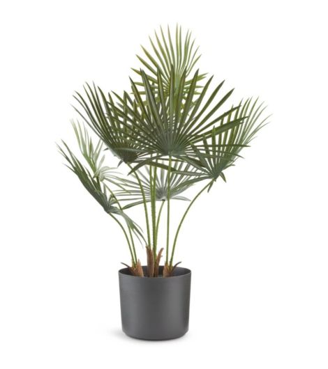 نبتة اصطناعية JAKOB - عرض 60 × طول 45 × ارتفاع 73 سم