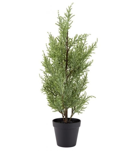 شجرة كريسماس GROSSULAR - ارتفاع 60 سم، أخضر