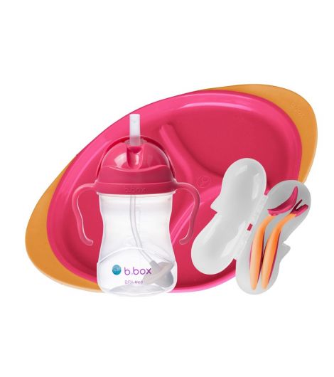 B.Box Fresh Feeding Set Straw.Shak