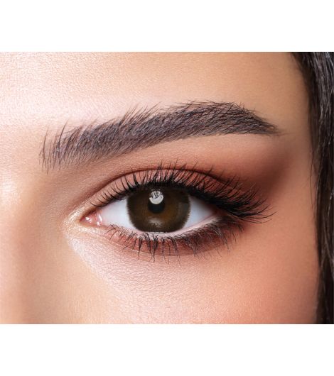Bella One Day Cedar Lenses