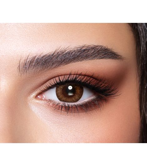 Bella One Day Almond Brown Lenses