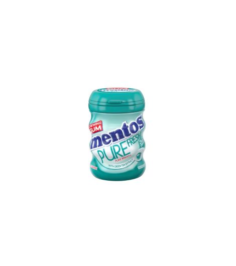 Mentos Pure Fresh Chewing Gum Wintergreen 32 Pieces