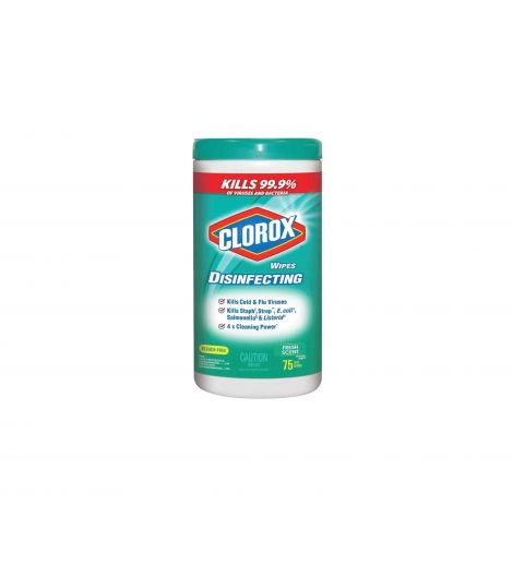 Clorox Disposable Wipes Fresh 75's
