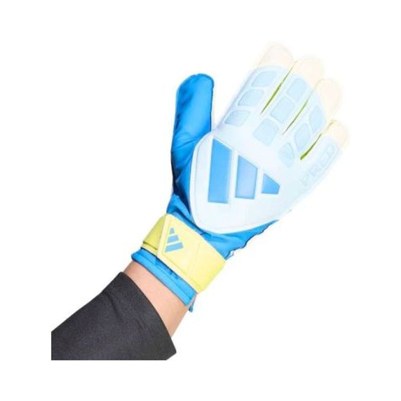 Predator Goalkeeper Glove Training
