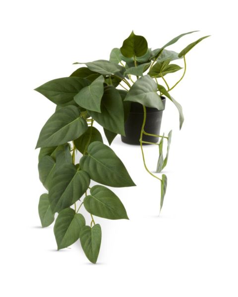 Artificial plant ANDERSEN L43cm hanging