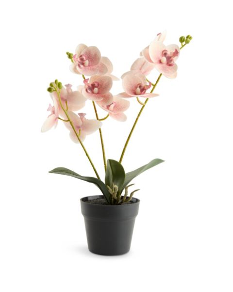 Artificial plant GUDJON H35cm rose orchide