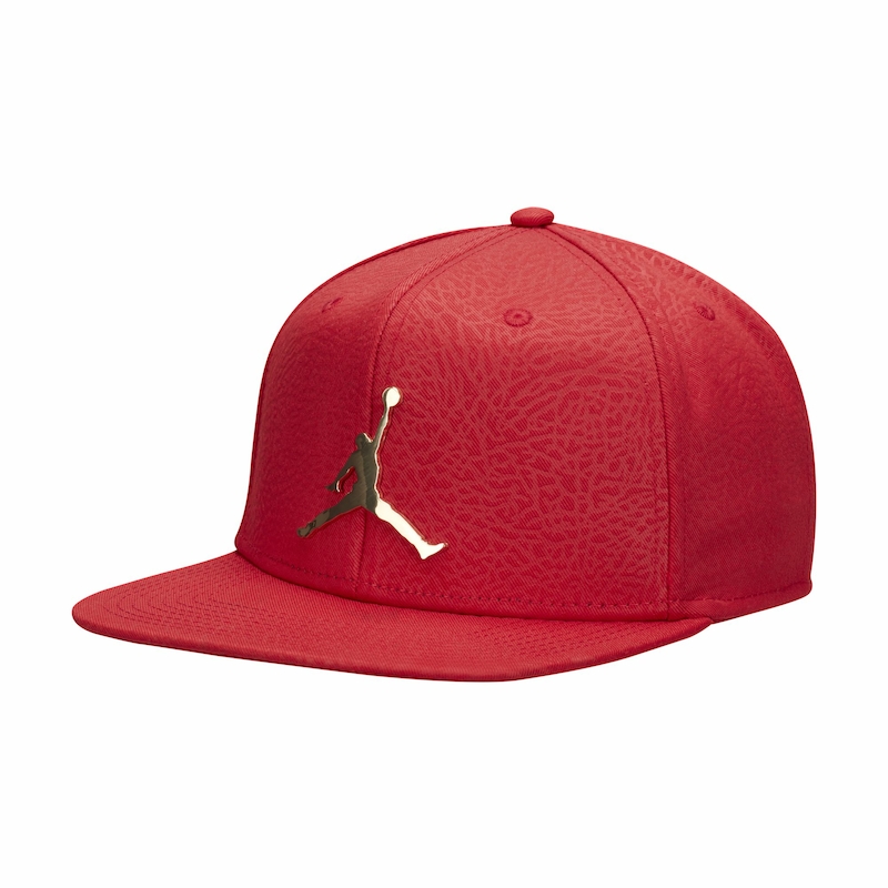 Jordan Pro Ingot Cap