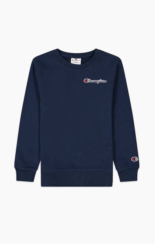 Boys champion hot sale crewneck