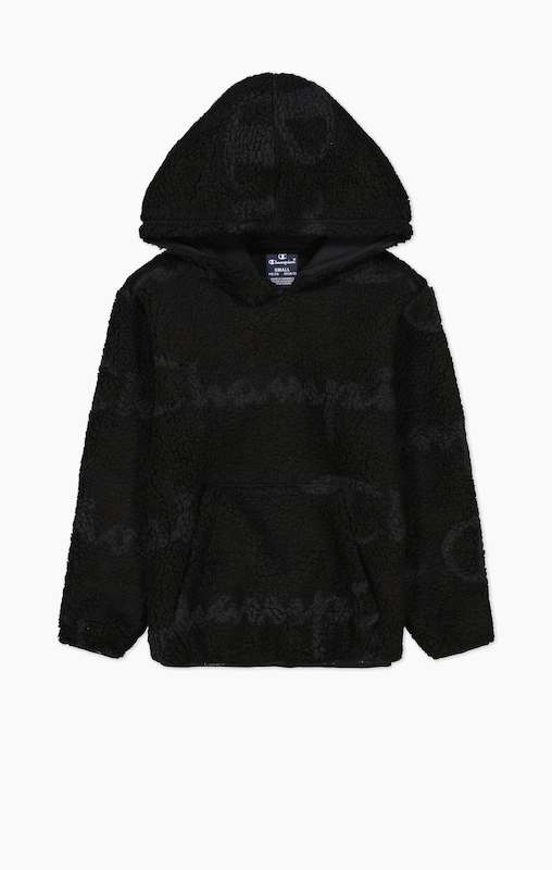 Champion microfleece sales hooded jacket