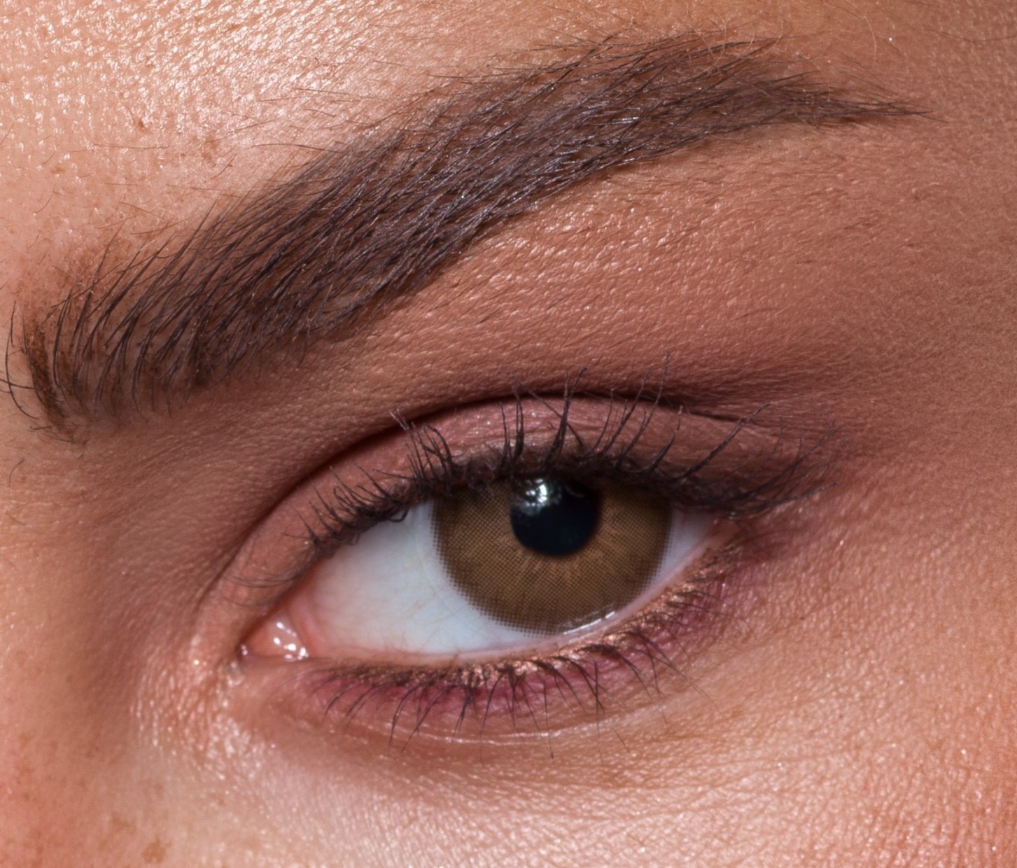 Buy Anesthesia Monthly Contact Lens Addict Nocciola online pharmacy in