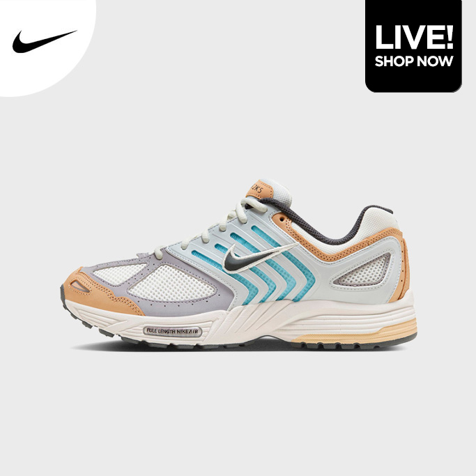 Nike Pegasus 2K5 Tan/Glacier Blue