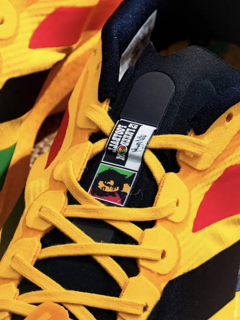 Running shoes — performance technology detail