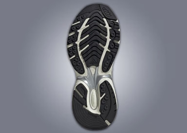 Sneaker Collection Display